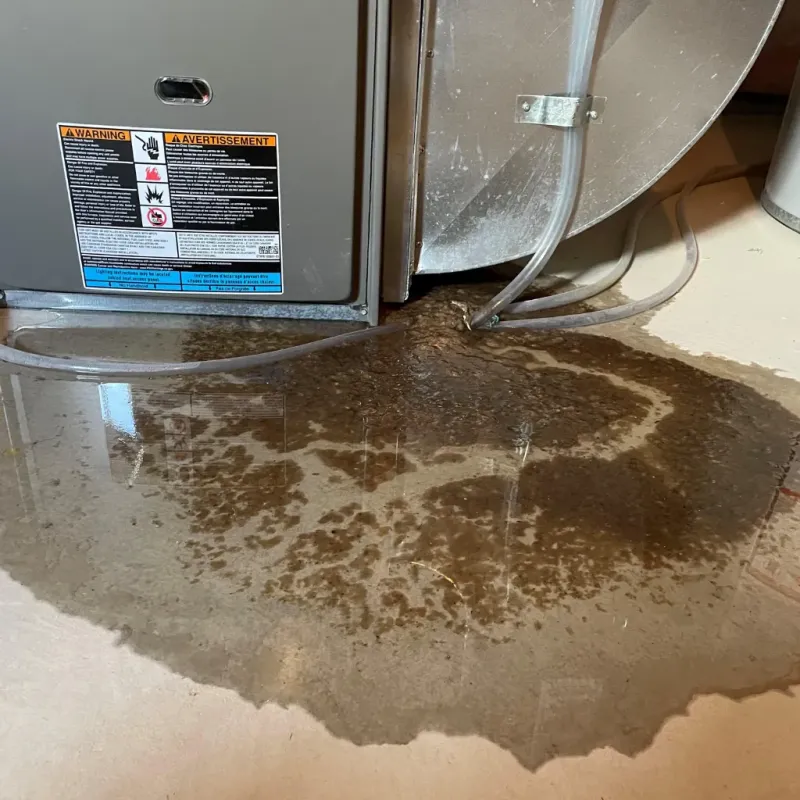 Appliance Leak Cleanup in Topeka, IN